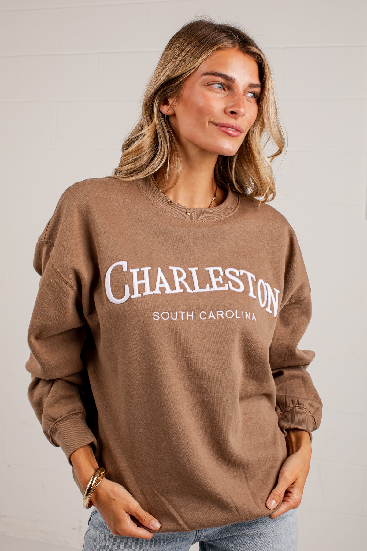 Charleston South Carolina Brown Pullover
