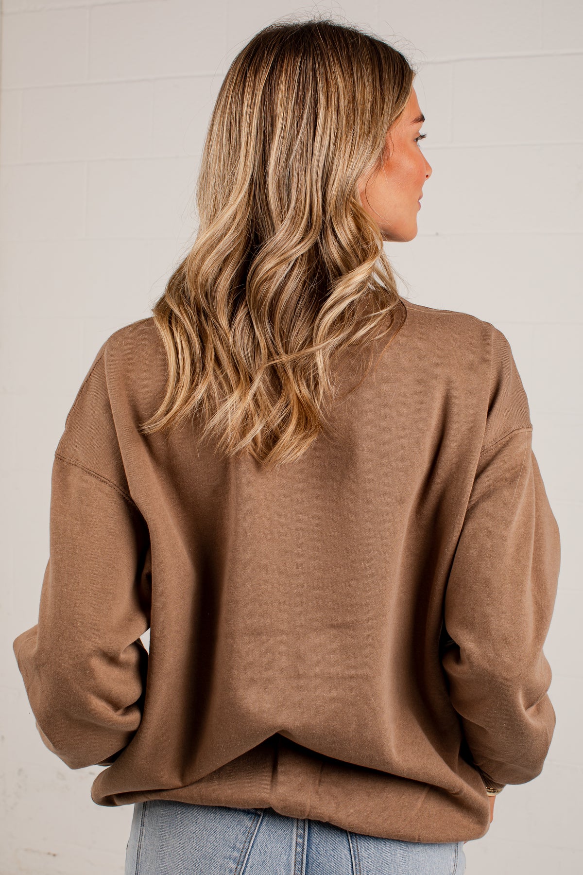 Charleston South Carolina Brown Pullover