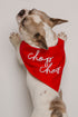 Red Chop Chop Script Dog Bandana
