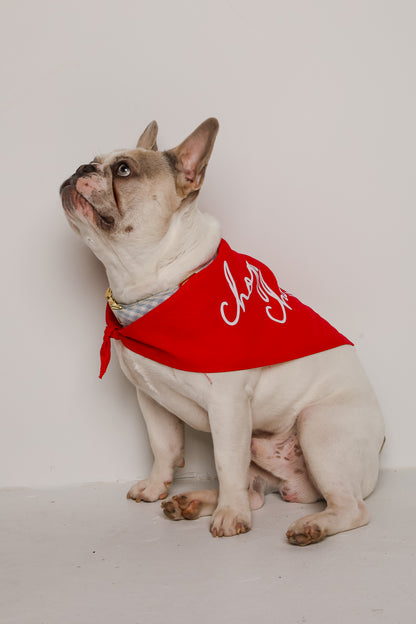 Red Chop Chop Script Dog Bandana